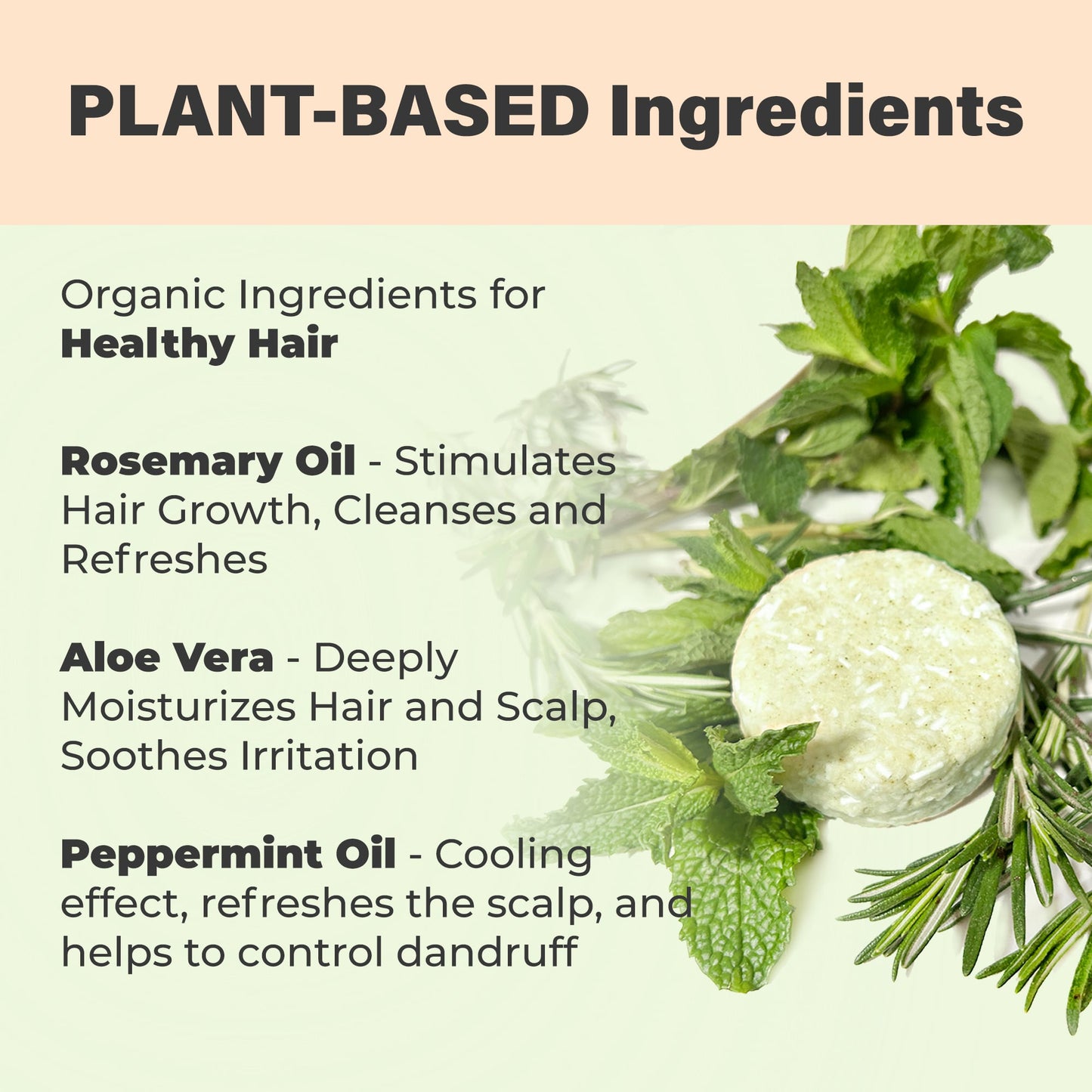 Rosemary Shampoo Bar and Conditioner Bar for Hair Growth