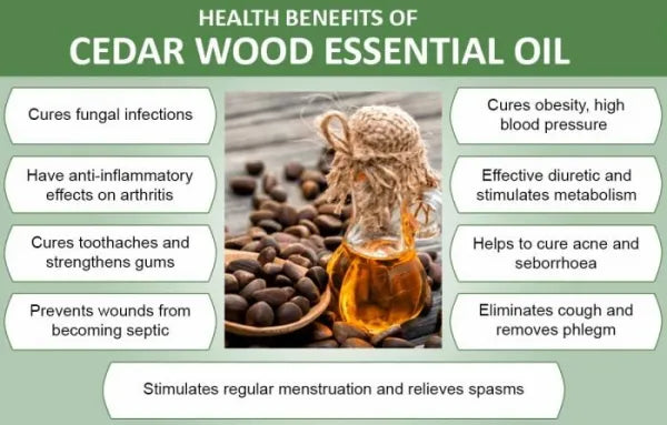 "Cedarwood" Organic Bath Bomb in kraft box - 5 oz