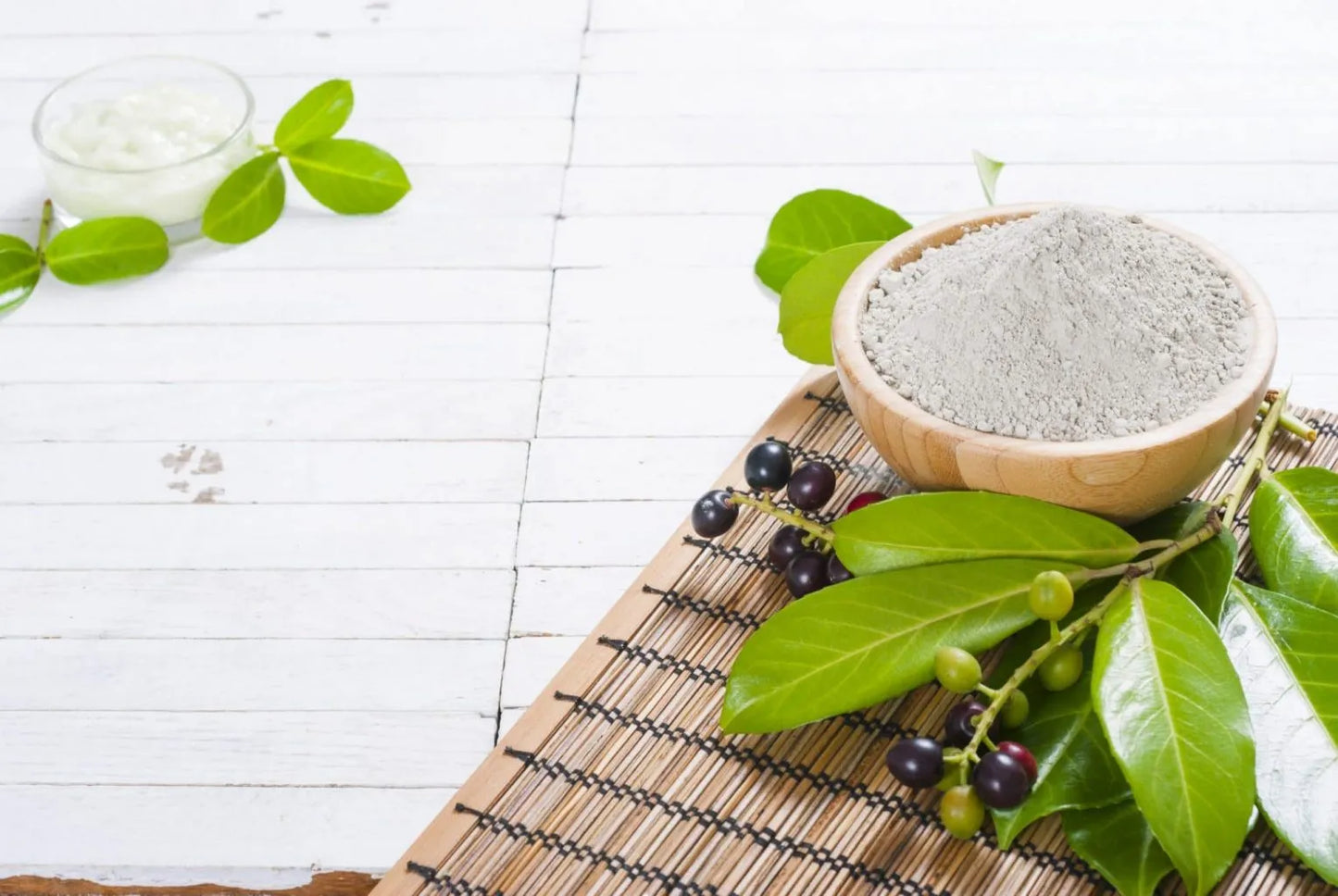 Pure Indian Healing Bentonite Clay