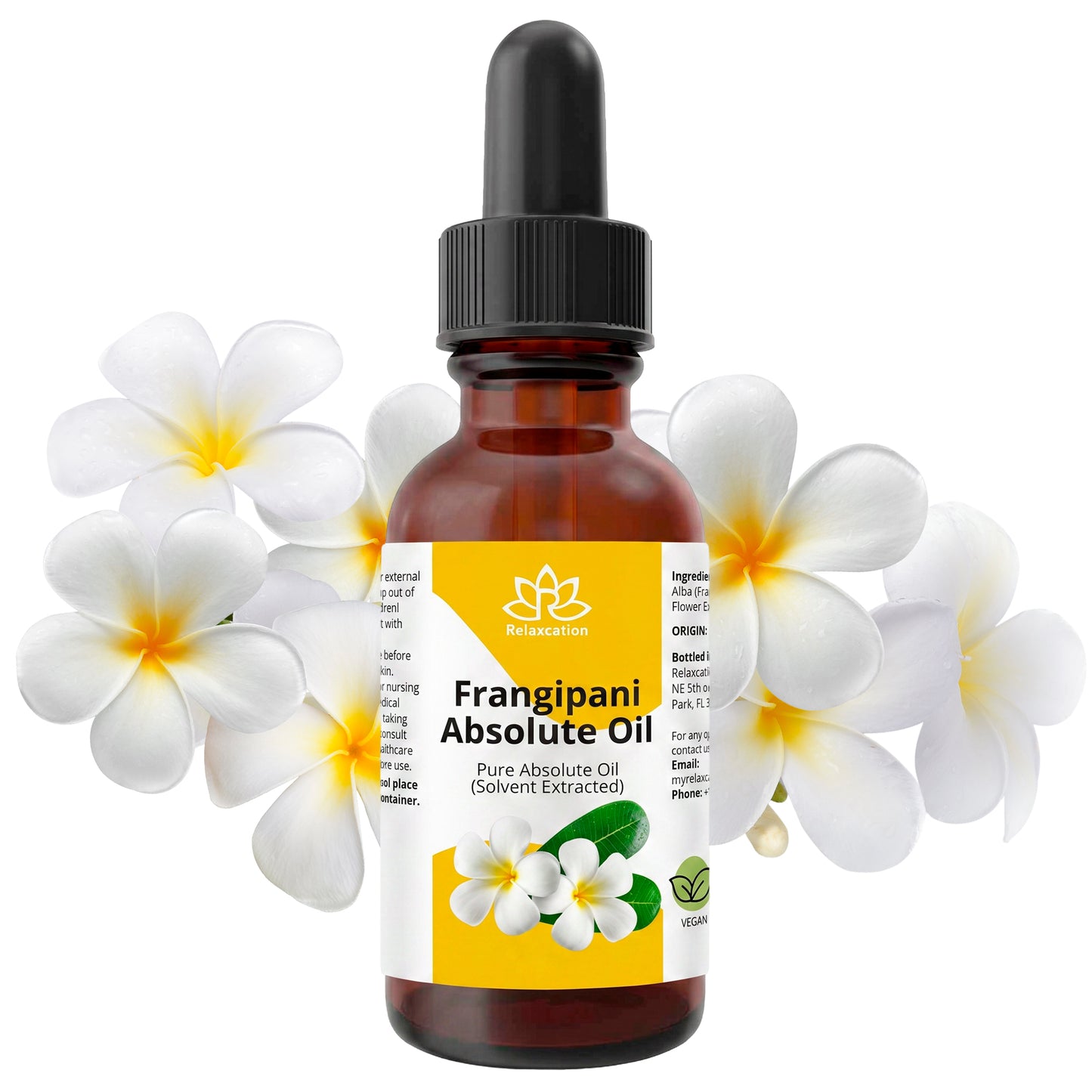 Frangipani Oil – Tropical Floral Beauty Oil for Skin, Hair & Aromatic Blends