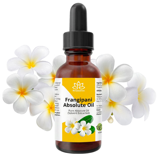 Frangipani Oil – Tropical Floral Beauty Oil for Skin, Hair & Aromatic Blends