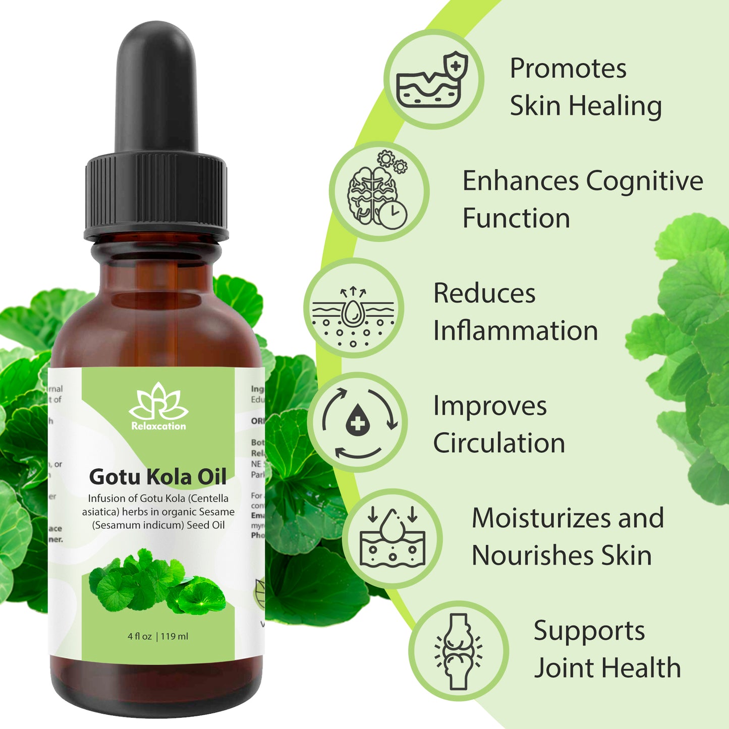 Gotu Kola (Centella) Pure Natural Carrier Oil