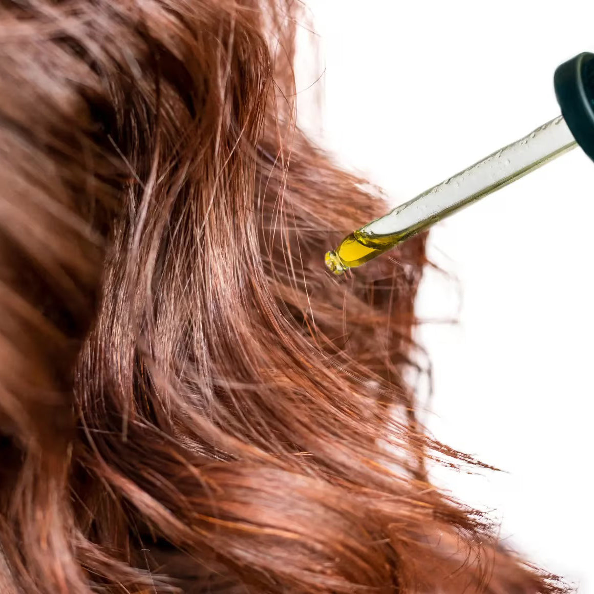 Pure Blackcurrant Seed Oil – 100% Botanical Cold-Pressed Oil for Skin & Hair