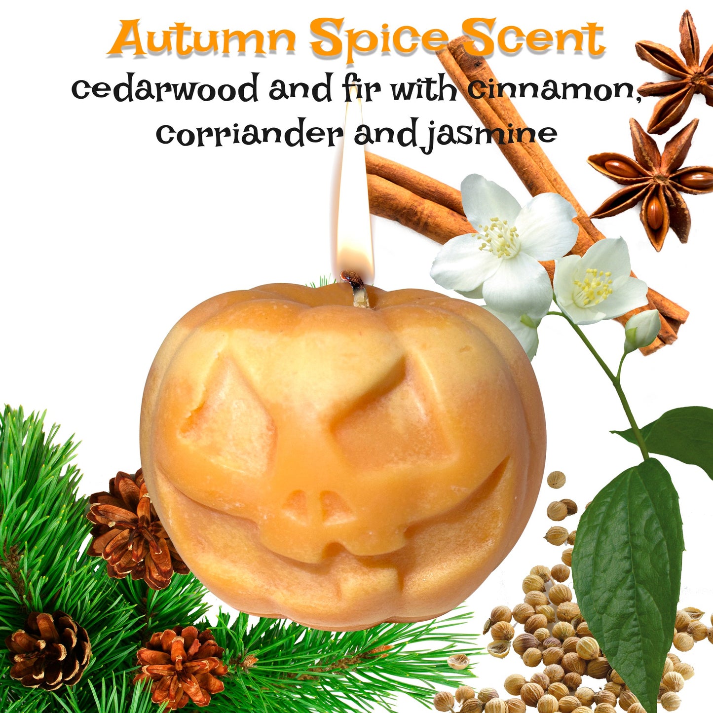 Pumpkin Candle with Autumn Spice Scent