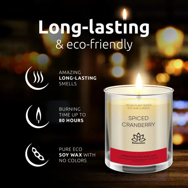 SPICED CRANBERRY Soy Wax Candle in Glass Jar (10 oz)